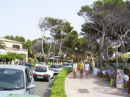thm_CalaRajadaMallorca (11).jpg